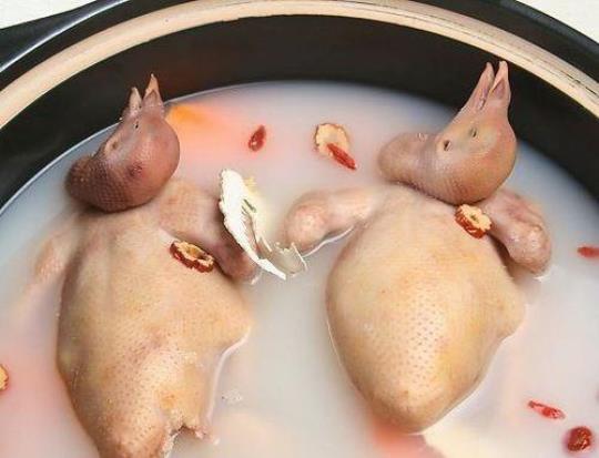 鸽子养生汤的做法