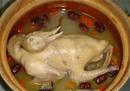什么人不能喝鸽子汤呢？