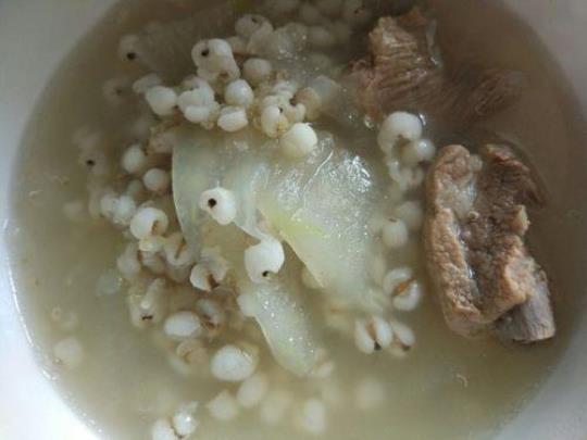 薏米排骨冬瓜汤怎么制作
