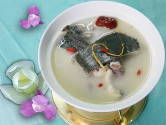 ?贝母甲鱼汤的做法