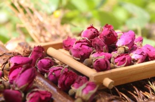 玫瑰花茶的药性有哪些？