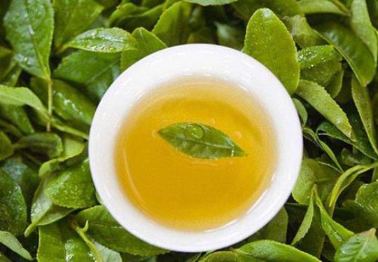绿茶的功效与作用有什么