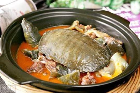 甲鱼排骨汤的做法怎么做呢？