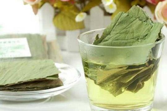 喝冬瓜荷叶茶能减肥吗？
