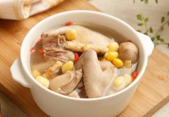 清炖鸽子汤的做法