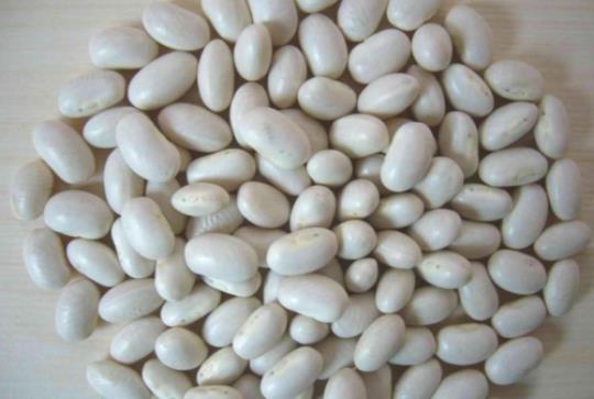 扁芸豆的功效与作用是什么  红芸豆的功效与作用及食用方法