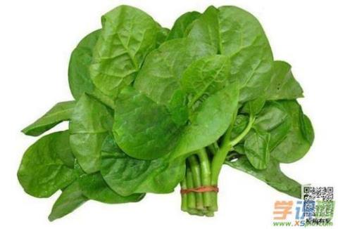 木耳菜的功效与作用  木耳菜的功效与作用及营养价值