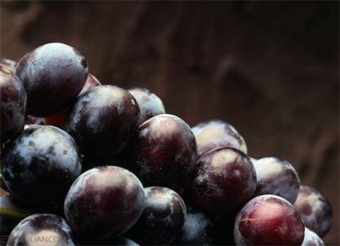 紫葡萄的功效与作用  紫葡萄的功效与作用及禁忌