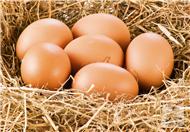 鸡蛋壳的作用  鸡蛋壳的作用与功效