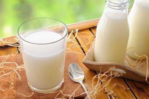 牛奶可抵御骨关节炎  骨关节炎喝什么牛奶好