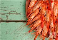 虾皮的营养价值 虾皮营养价值和功效作用