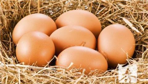 醋泡鸡蛋的作用 鸡蛋作用功效