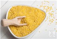小米的营养价值  小米营养价值功效