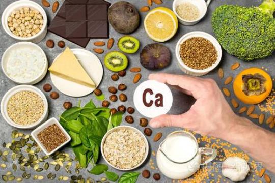 含钙高的食物有哪些  含钙高的有哪些食物和水果