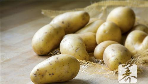 土豆炖肉的做法 土豆长芽子了还能不能吃