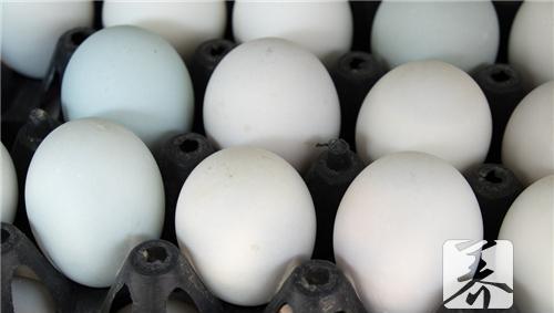 鸭蛋一打有多少个 鸭蛋的营养价值及功效与作用