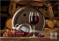葡萄酒的制作 葡萄酒制作过程中排气口的作用是什么