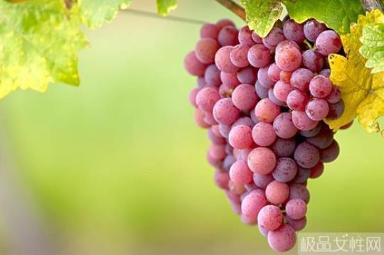 葡萄的作用 葡萄作用与功效和营养