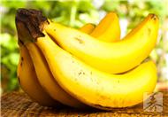 香蕉皮能吃吗 香蕉皮煮水喝有什么作用与功效