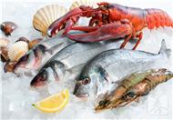 如何辨别海虾与河虾 如何辨别海虾和养殖虾