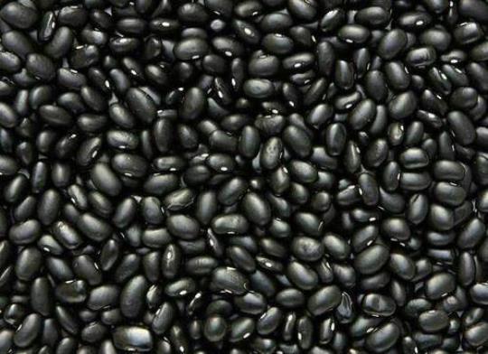 黑豆和黑芸豆的区别 黑豆的功效与作用禁忌
