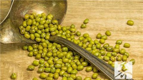 绿豆百合汤的功效及做法 绿豆百合功效与作用及禁忌