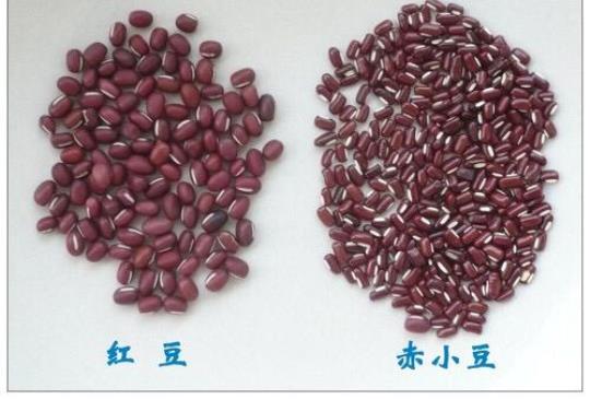赤豆的功效与作用 赤豆的功效与作用及营养价值