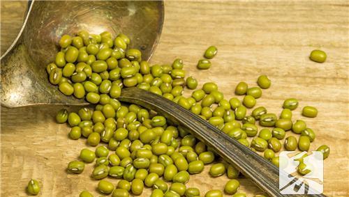 绿豆的功效与作用及禁忌 绿豆功效作用与主治