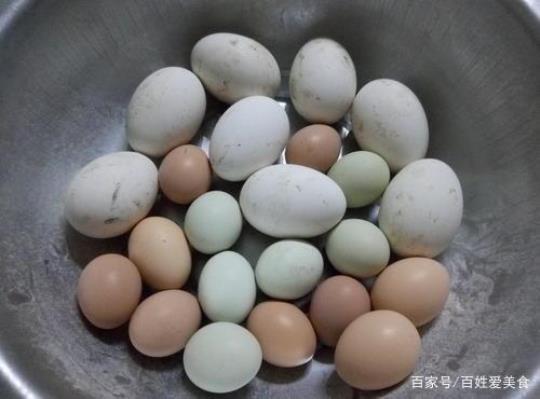 鸡蛋与鸭蛋的区别有哪些 鸡蛋和鸭蛋的区别与功效