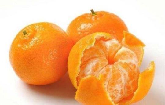 橘子的热量是多少
