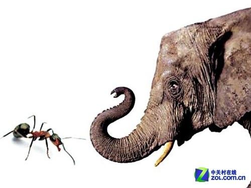 蚂蚁吃大象的故事 蚂蚁庄园今日答案