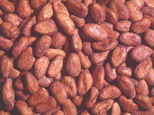 咖啡豆和可可豆 咖啡豆可可豆的区别