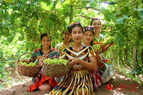 吐鲁番的葡萄 吐鲁番葡萄沟图片