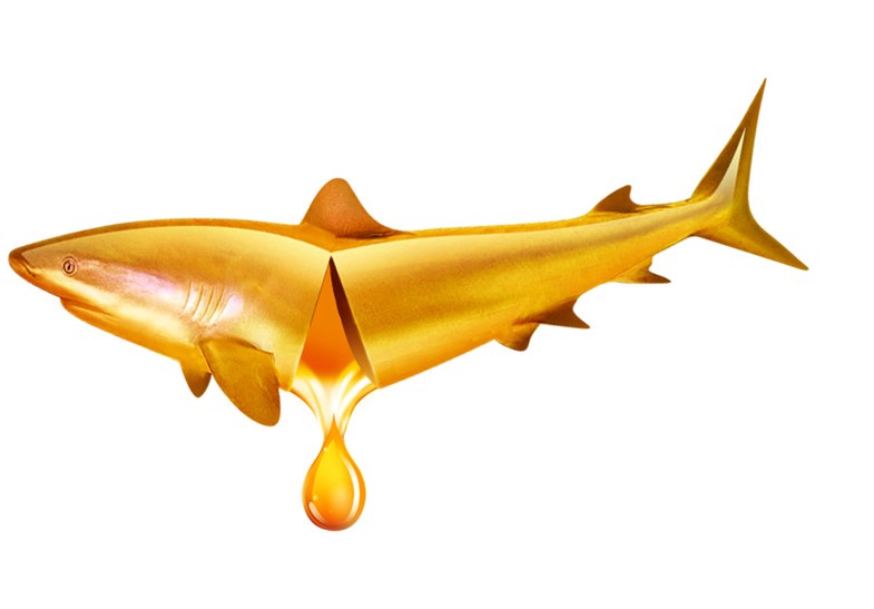 鱼肝油什么时候吃最好？鱼肝油的功效与作用