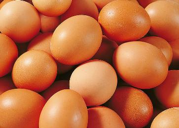鸡蛋的营养价值及营养成分包括哪些