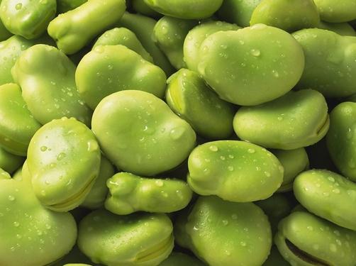 蚕豆的功效与作用-蚕豆的营养价值-蚕豆的食用功效