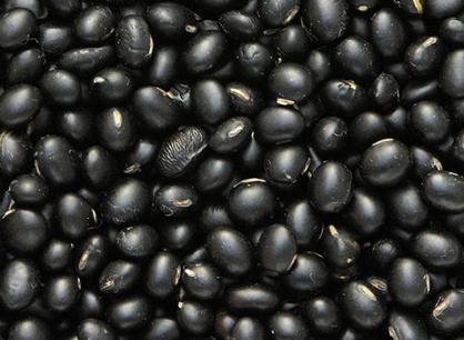黑豆的功效与作用-黑豆的营养价值