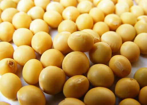 黄豆的功效与作用-常吃黄豆的好处