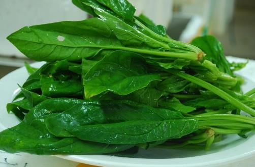 春季吃菠菜的好处-菠菜怎么吃最有营养