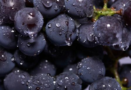 多吃葡萄有什么好处？哪些人不适宜吃葡萄