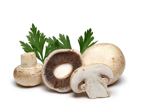 蘑菇的功效与作用-蘑菇的适用人群
