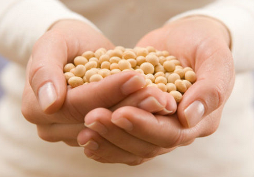 大豆的功效与作用-大豆的种植技术