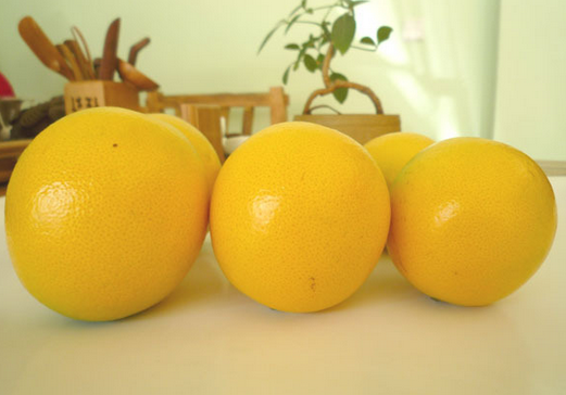 食用褚橙的注意事项-褚橙的功效与作用
