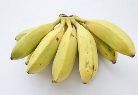 小米蕉的种植技术-小米蕉的功效与作用