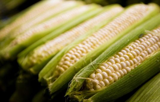 玉米吃多了会胖吗？玉米的功效