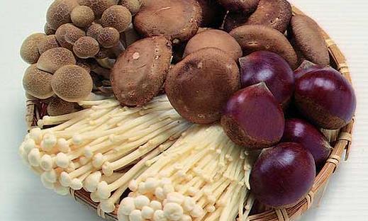 常吃蘑菇益气健脾养胃 盘点蘑菇的功效