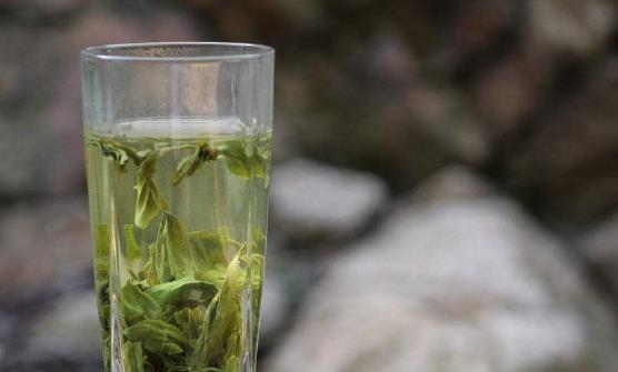 喝绿茶有益健康 四类人不适合喝绿茶