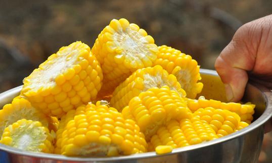 水果玉米的简介 水果玉米的营养价值
