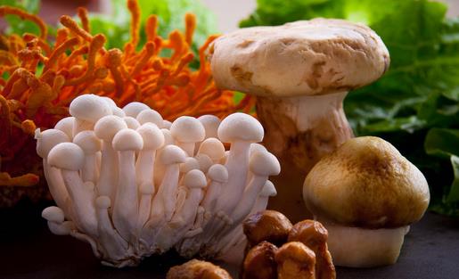 烹饪菌类有讲究 鲜味保留又营养