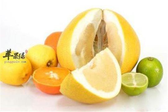 柚子的营养价值及功效有哪些